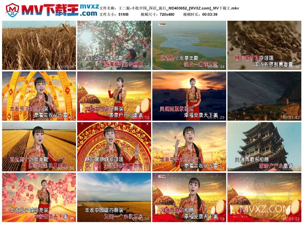 王二妮-丰收中国_国语_流行_MD403652